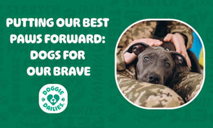 Doggie Dailies Doing Good With Dogs For Our Brave