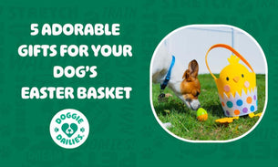 5 Adorable Gifts For Your Dog’s Easter Basket
