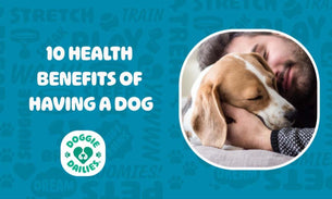 Amazing Health Benefits of Having a Dog