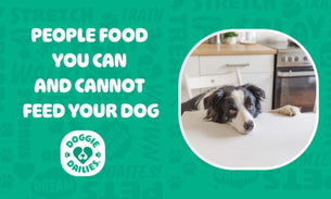 What People Food Is Safe To Feed Your Dog?