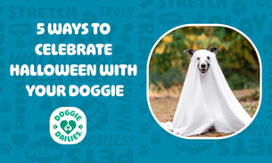 5 WAYS TO CELEBRATE HALLOWEEN WITH YOUR DOG