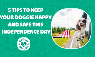 5 Tips To Keep Your Doggie Happy and Safe This Independence Day
