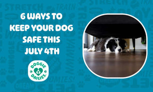 4th of July Dog Safety: 6 Ways to Keep Your Furry Friend Safe