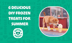6 Refreshing DIY Frozen Dog Treat Recipes to Keep Your Pup Cool This Summer