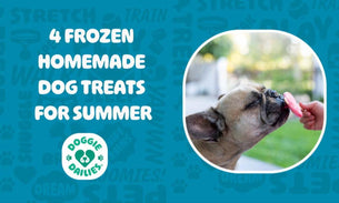 4 Frozen Homemade Dog Treats for Summer