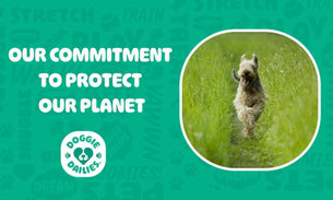 Earth Day 2022: Our Commitment to Sustainability