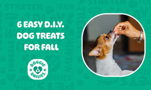6 Easy D.I.Y. Dog Treats For Fall
