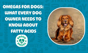 Omegas For Dogs: What Every Dog Owner Need to Know About Fatty Acids