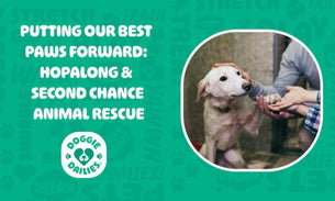 Putting Our Best Paws Forward: Hopalong & Second Chance Animal Rescue