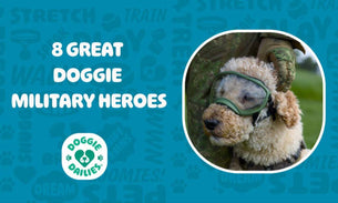 8 Great Doggie Military Heroes