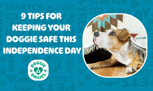 Nine Tips For Keeping Your Doggie Safe This Independence Day