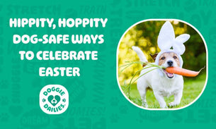 Hippity, Hoppity, Dog-Safe Ways to Celebrate Easter