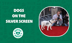 Dogs On The Silver Screen - The 10 Best Doggie Flicks