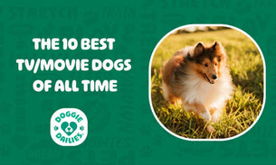The Ten Best TV/Movie Dogs of All Time