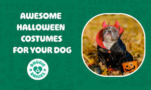 Awesome Dog Halloween Costumes For 2018