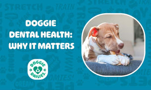 Doggie Dental Health - Why It Matters