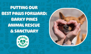 Putting Our Best Paws Forward - Barky Pines Animal Rescue