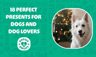 18 Perfect Presents for Dogs & Dog Lovers