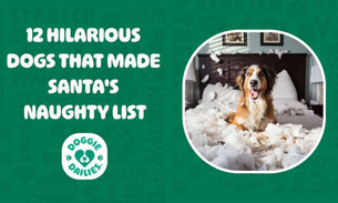 12 Hilarious Dogs That Made Santa’s Naughty List