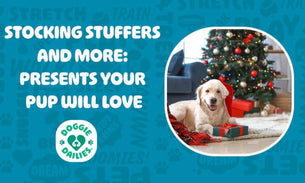 Stocking Stuffers & More: Presents Your Pup Will Love