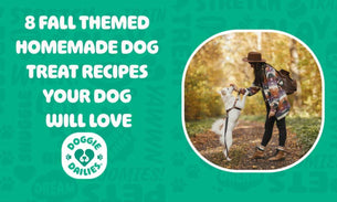 8 Fall-Themed Homemade Dog Treat Recipes