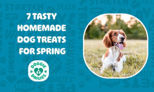 7 Delicious Homemade Spring Dog Treats to Make for Your Furry Friend
