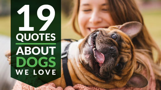 19 Quotes About Dogs All Dog Owners Will Love
