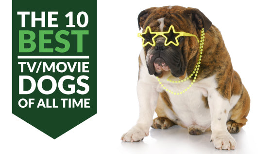 The Ten Best TV/Movie Dogs of All Time