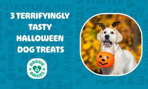 3 Halloween Dog Treat Recipes: Fall Flavors Your Pup Will Love!