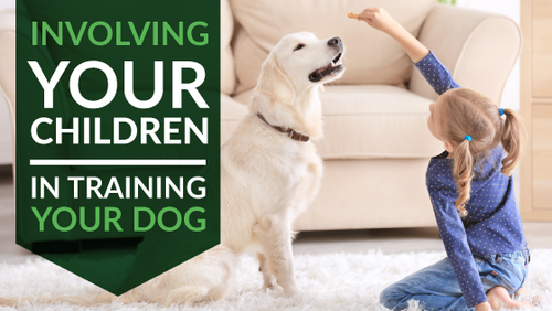 How to Involve Your Children in the Training of Your Dog