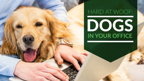 Hard at Woof: Dogs in Your Office