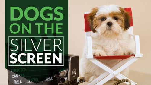 Dogs On The Silver Screen - The 10 Best Doggie Flicks
