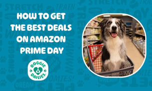 Amazon Prime Day - What You Need To Know To Save BIG!