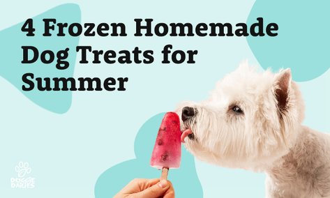 4 Frozen Homemade Dog Treats for Summer