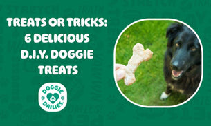 Treats for Tricks: 6 Delicious D.I.Y. Doggie Treats