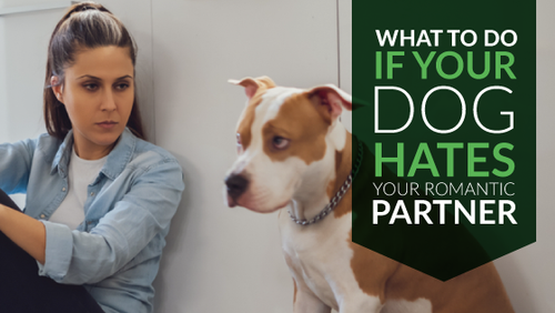 What To Do If Your Dog Hates Your Romantic Partner