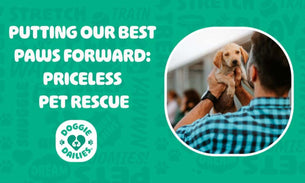 Putting Our Best Paws Forward: Priceless Pet Rescue