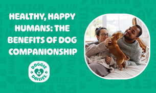 Healthy, Happy Humans: The Benefits of Dog Companionship