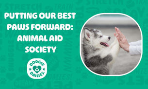 Putting Our Best Paws Forward: Animal Aid Society