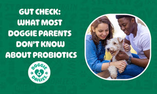 Gut Check: What Most Doggie Parents Don’t Know About Probiotics