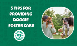 5 Tips for Providing Doggie Foster Care