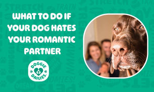 What To Do If Your Dog Hates Your Romantic Partner