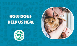 How Dogs Help Us Heal