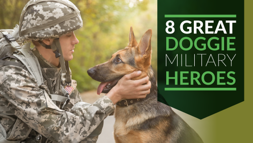 8 Great Doggie Military Heroes