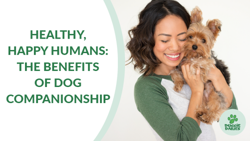 Healthy, Happy Humans: The Benefits of Dog Companionship