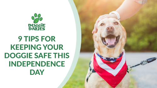 Nine Tips For Keeping Your Doggie Safe This Independence Day
