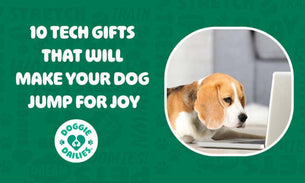 10 Tech Gifts That Will Make Your Dog Jump for Joy