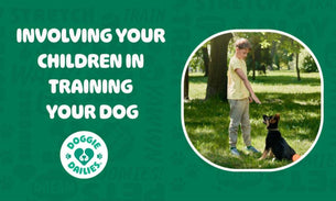 How to Involve Your Children in the Training of Your Dog