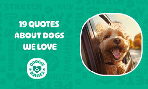 19 Quotes About Dogs All Dog Owners Will Love