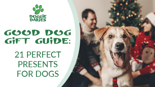 Good Dog Gift Guide: 21 Perfect Presents for Dogs